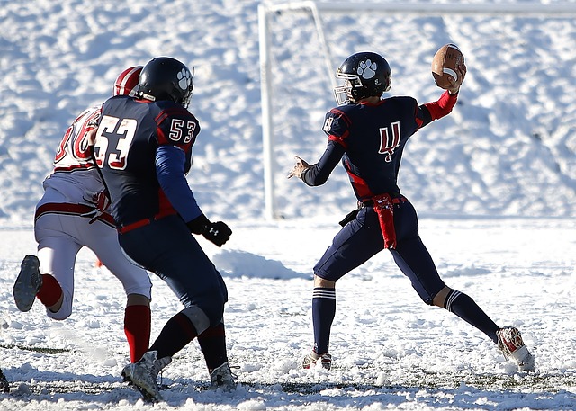 九游体育登录入口网页版